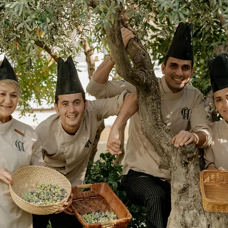 Castival 5* Σιντέ