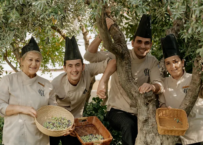 Castival 5* Сиде